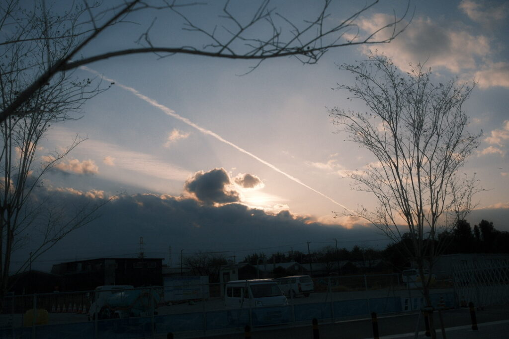 冬の木々の間から見える夕方の空と飛行機雲