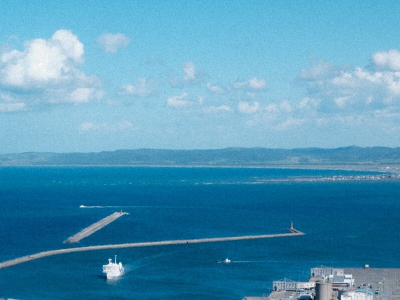 港と海の一部を拡大した写真(粒子あり)